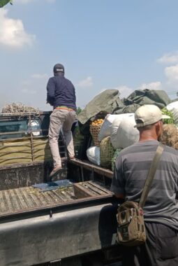 Kecelakaan Beruntun di Penawangan, Empat Mobil Pick-Up Rusak Parah dan Satu Korban Dilarikan ke RS