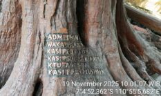 Dugaan Pencurian dan Penggelapan Barang Bukti Kayu Jati Plus Berumur lebih dari 1 Abat, Diduga Oknum Perhutani Terlibat