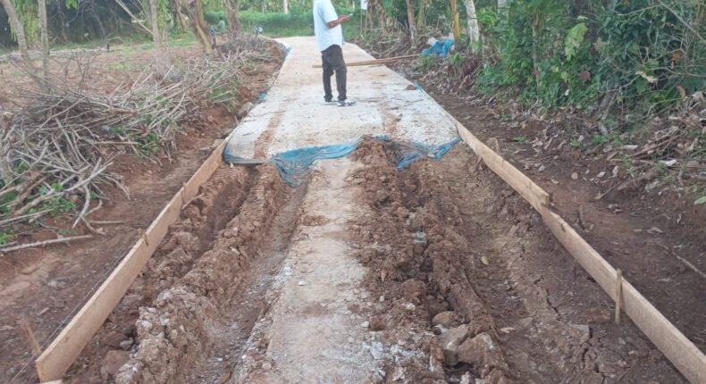 foto slider headline