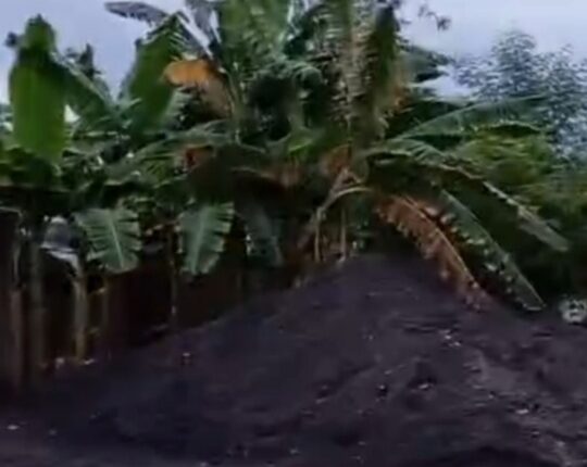 foto slider headline